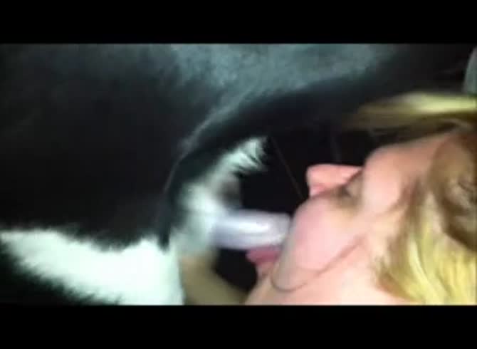 Video :Blonde whore giving blowjob to dog dick until orgasm